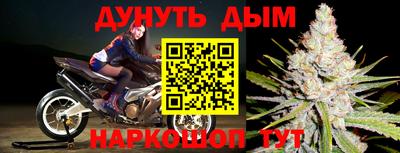 дмт Новодвинск