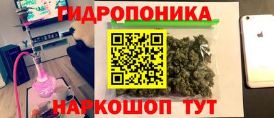 ALPHA PVP Новозыбков