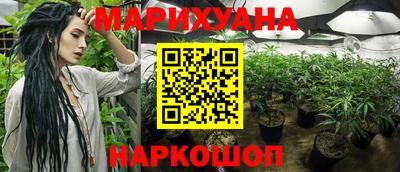 дмт Новодвинск