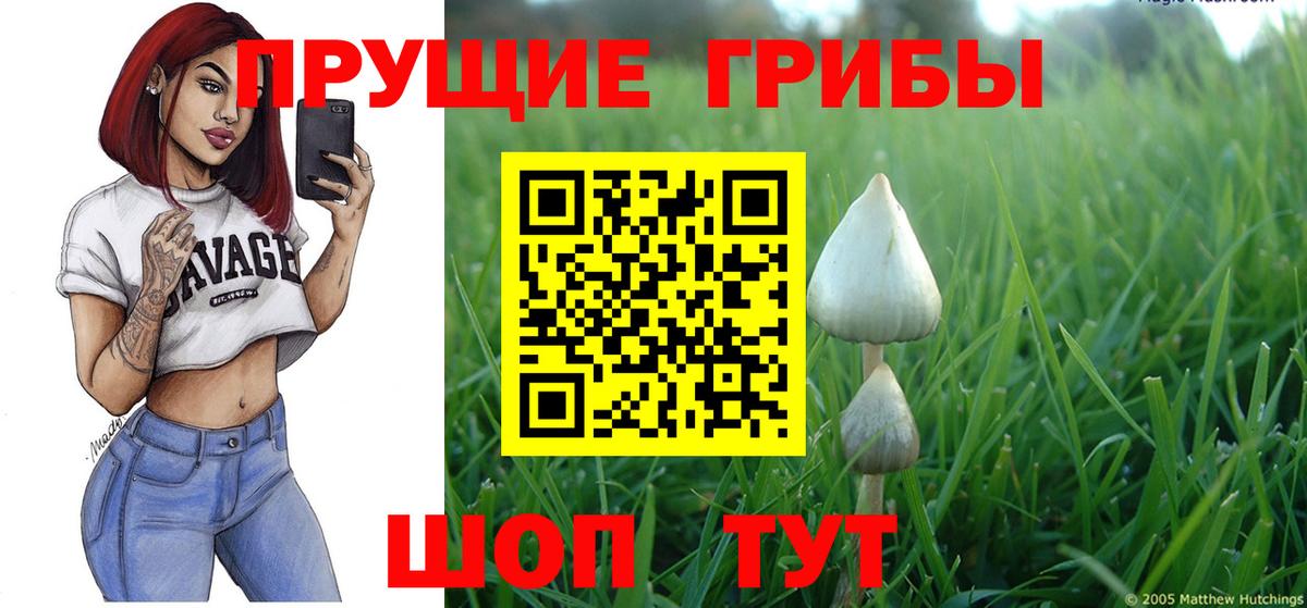 Томск  где продают наркотики  Вход с VPN  Псилоцибиновые грибы мухоморы 