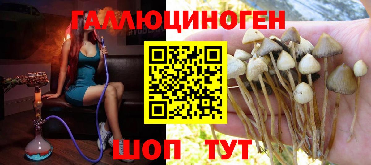 Псилоцибиновые грибы Magic Shrooms Томск